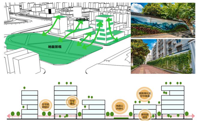 全国生态日 以生态园林城市为导向的绿地系统规划策略研究——以平湖市为例(图18)