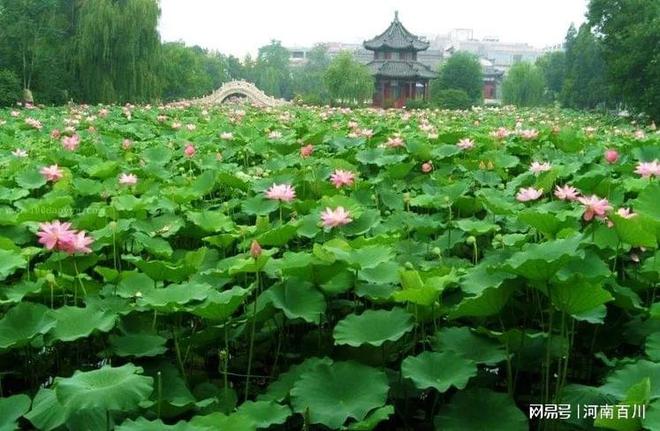 一饱眼福！中国十大园林你去过几个？(图7)