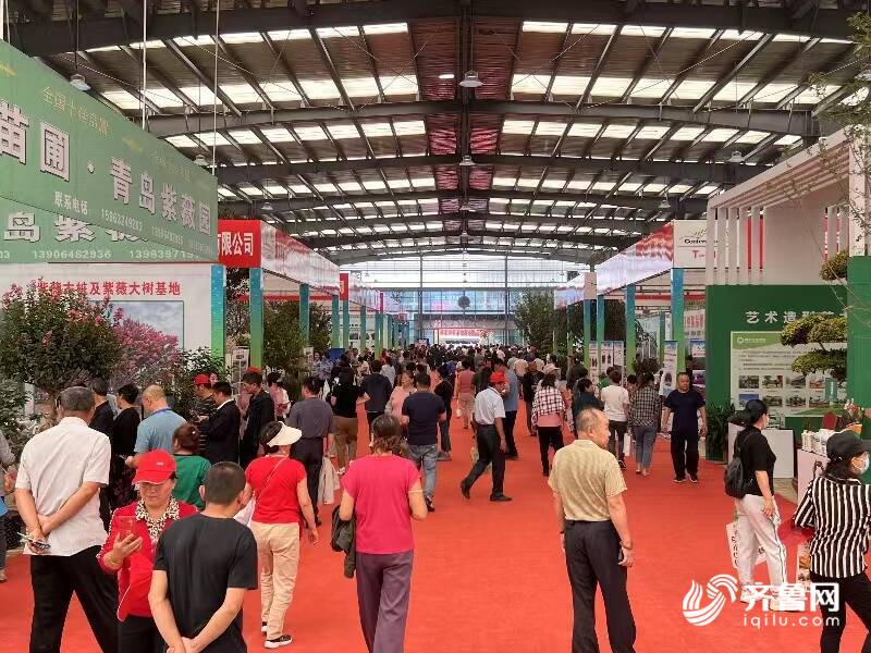 300多家企业参展 2023北方(昌邑)绿化苗木博览会开幕(图2)