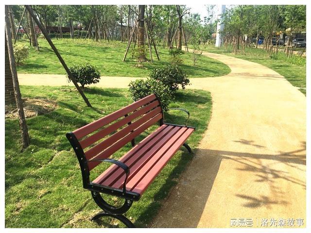 我国城市园林绿化普遍规划不合理(图4)