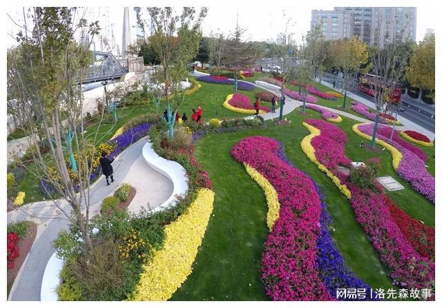 我国城市园林绿化普遍规划不合理(图11)