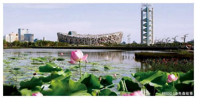 我国城市园林绿化普遍规划不合理(图7)