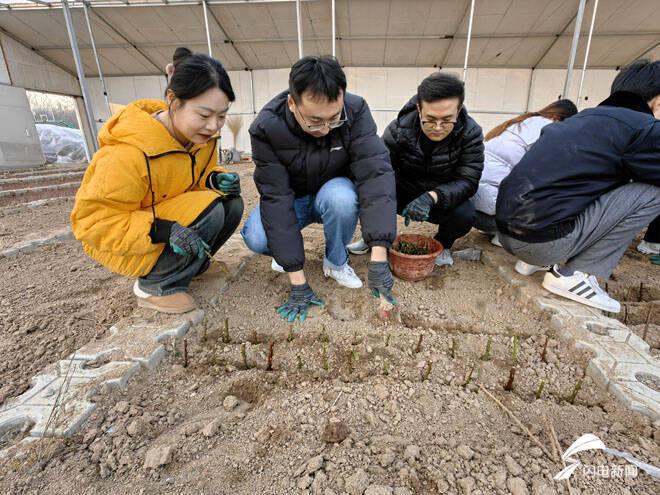 大棚、田地、生产一线 滨州城管局主题党日活动走进园林绿化(图5)