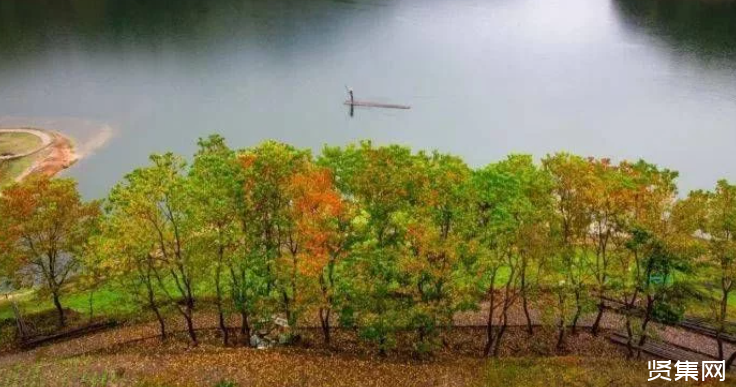 中国园林绿化行业发展概述及发展现状分析(图1)