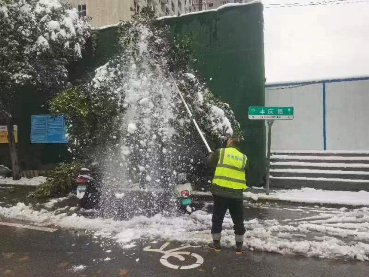 郑州金水区市政绿化所为园林绿化树穿上“冬衣”防寒保暖(图3)