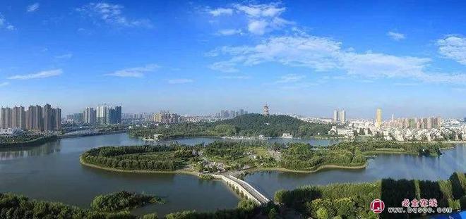 2023年度全国苗木需求预测分析(图2)