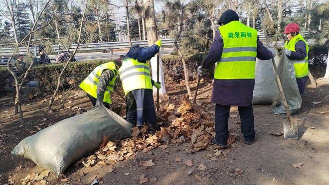 聚焦精致园林兰山园林着力提升绿化品质(图1)