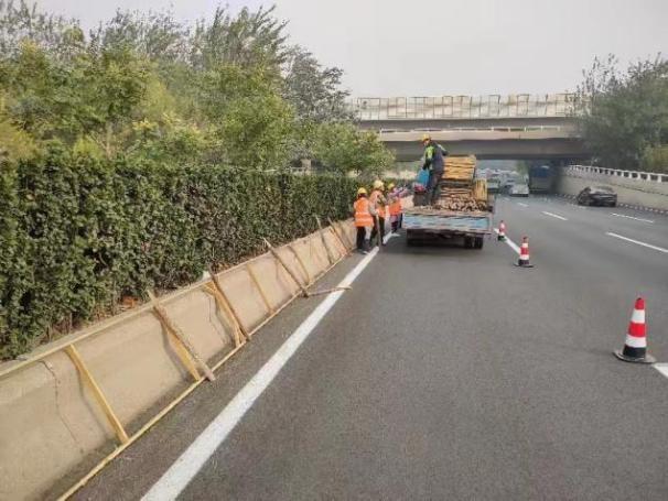天津北辰强化绿化防寒 为园林植物穿好“冬装”(图1)