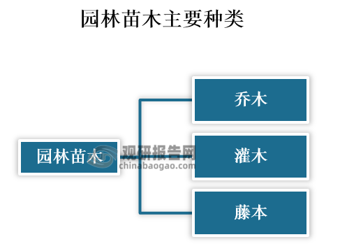 中国园林苗木行业发展趋势分析与投资前景预测报告（2023-2030年）(图2)