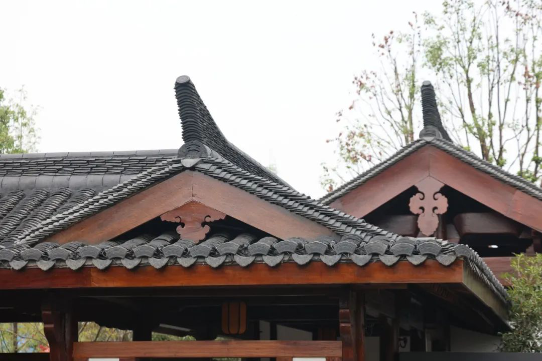 杭州园囊括第十四届中国（合肥）国际园林博览会全部大奖(图5)
