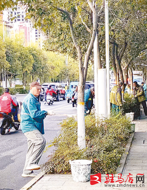 驻马店市园林绿化中心加强绿化养护管理(图1)