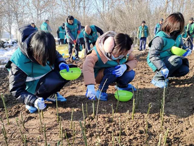聊城市城管局园林工程开发中心组织开展苗木扦插繁殖技术培训(图2)