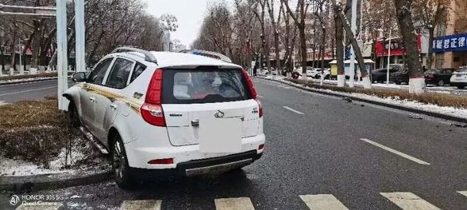 私家车冲进绿化带 园林监察迅速处置(图2)