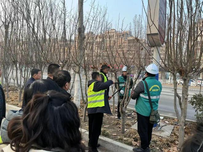 聊城市园林中心对阳谷县综合行政执法局开展苗木修剪技术指导培训(图2)