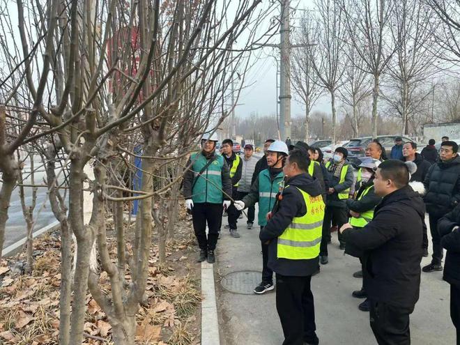 聊城市园林中心对阳谷县综合行政执法局开展苗木修剪技术指导培训(图3)