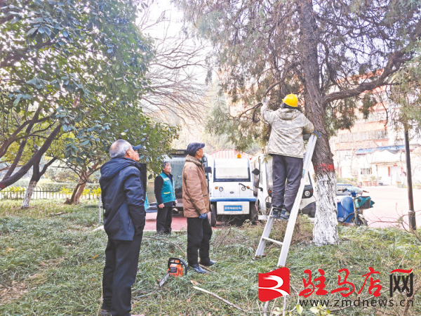园林绿化养护好 苗木穿上“保暖衣”(图2)