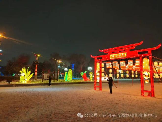 园林绿化养护中心护航红色花灯(图2)