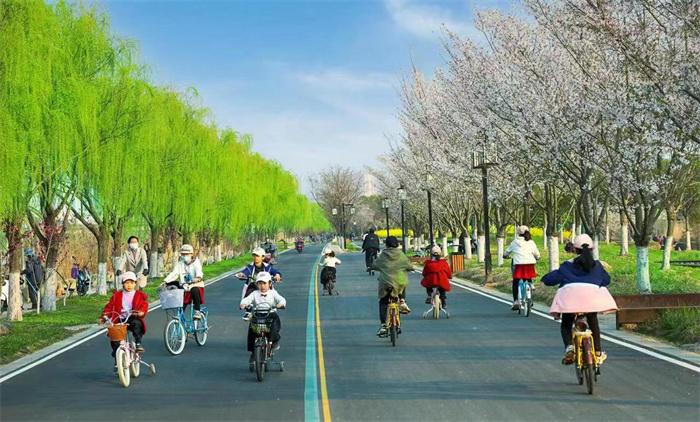 以绿为底 向美而行 ——2023年淮安城市园林绿化工作掠影(图4)