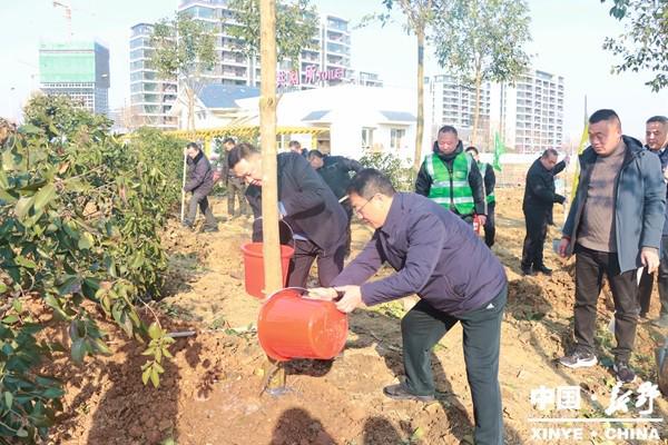 新野县城建系统组织开展义务植树活动(图3)