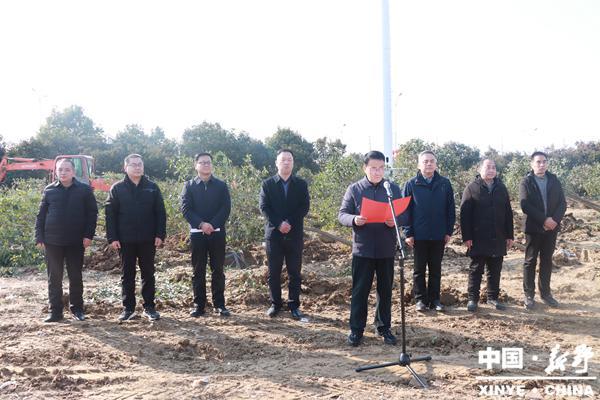 新野县城建系统组织开展义务植树活动(图1)