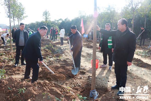 新野县城建系统组织开展义务植树活动(图2)