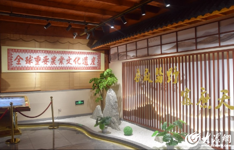 当好“水土管家” 做活“水土文章” 德州以生态振兴带动乡村全面振兴_大众网(图1)