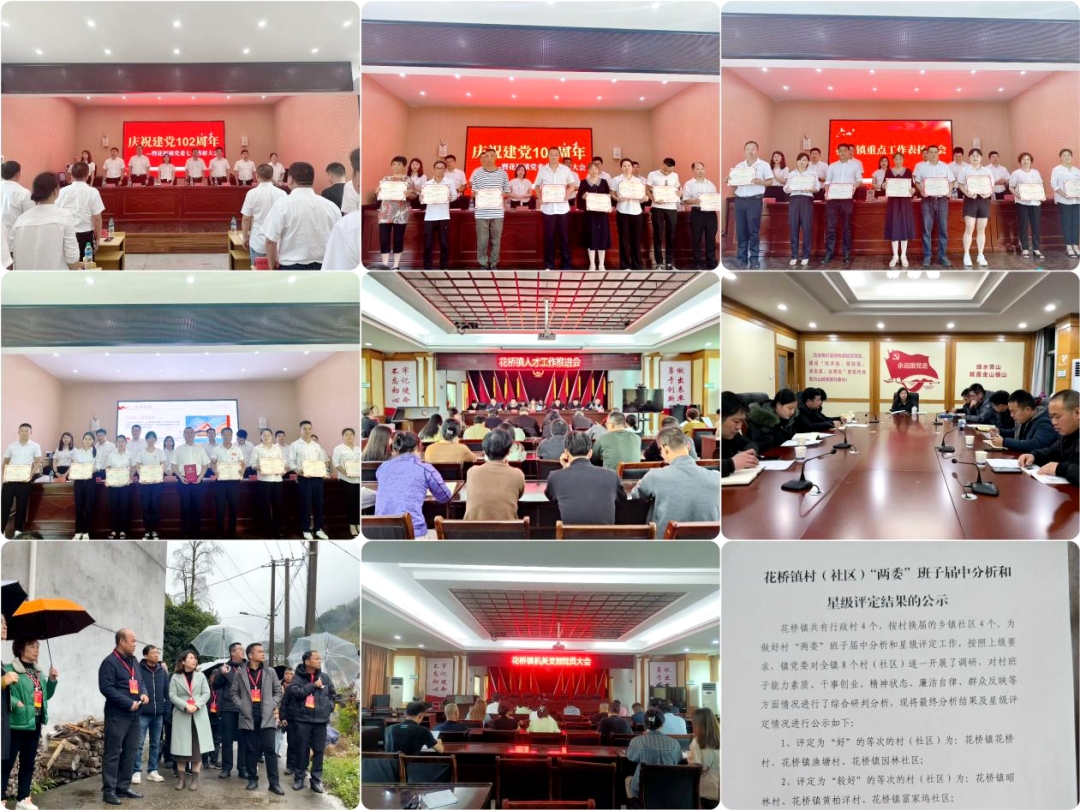 花桥镇：党建引领促发展 扬鞭奋蹄绘新篇(图1)