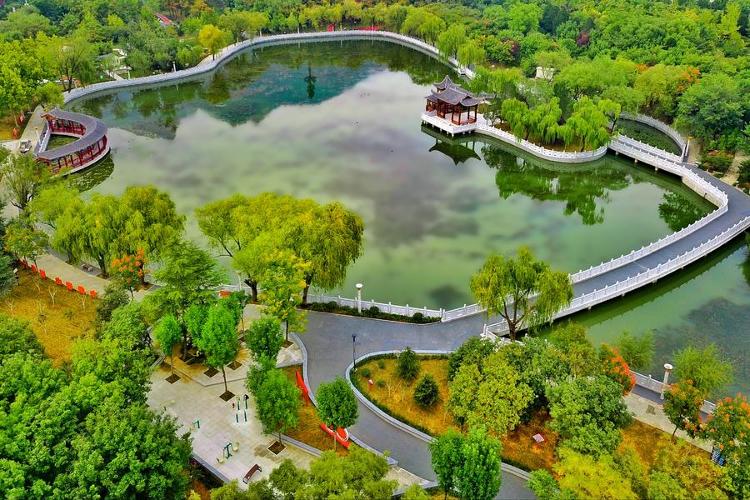 “红色城管”织绣“大美泰安”(图1)