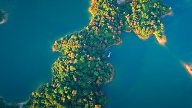 植树节原来与广东渊源这么深(图4)