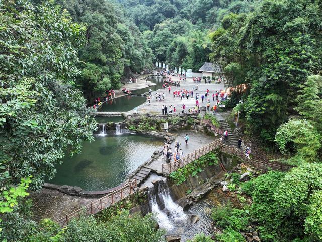 植树节原来与广东渊源这么深(图6)