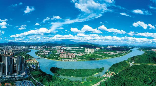 植树节原来与广东渊源这么深(图5)
