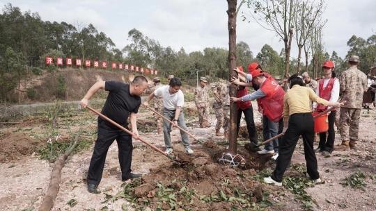 已种苗木超520万株！广东县镇村绿化工作加快推进(图3)