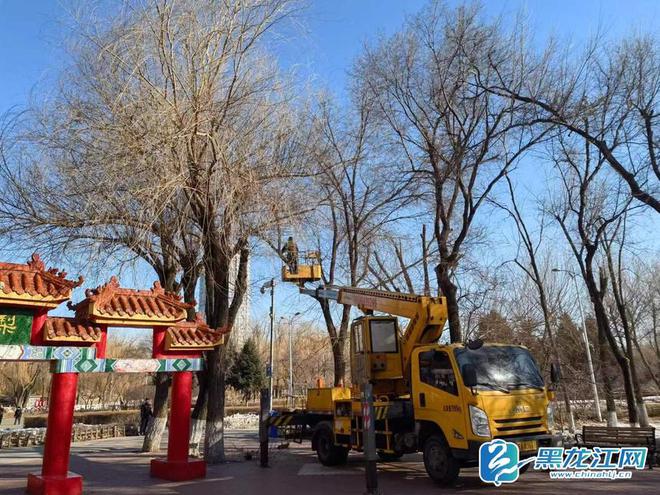 哈尔滨市已全面启动园林绿化春整 五一前快速恢复街路绿化景观及公园容貌(图2)