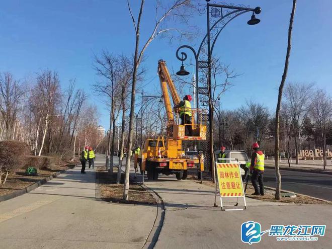 哈尔滨市已全面启动园林绿化春整 五一前快速恢复街路绿化景观及公园容貌(图1)