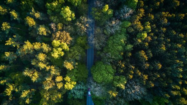 绿化的前景(园林行业的发展前景)(图1)