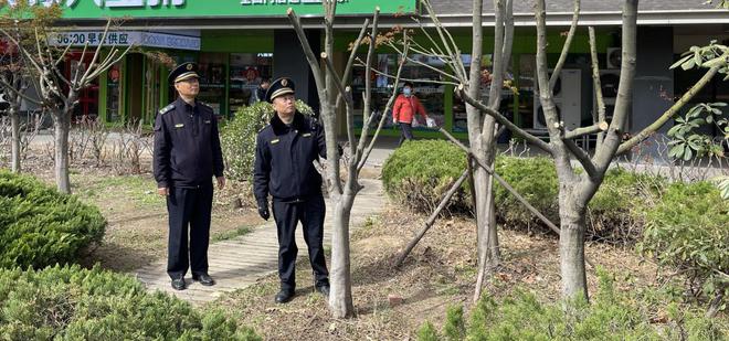 青岛市市北区敦化路街道开展园林绿化规范修剪执法行动(图1)
