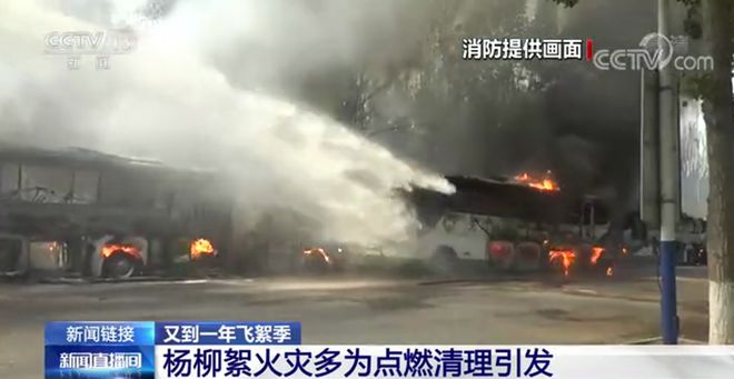 市园林绿化局、市气象局发布2024年首次杨柳飞絮预报(图1)
