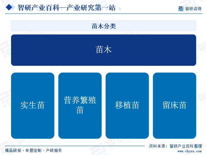 苗木-产业百科_智研咨询(图1)