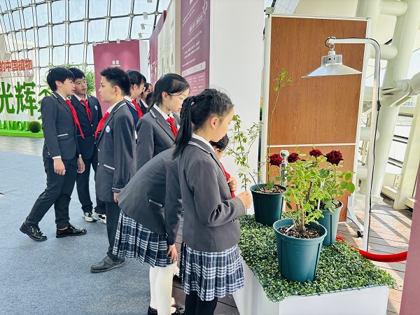 航向世界的中国植物 草木生光辉展在中国航海博物馆开幕(图1)